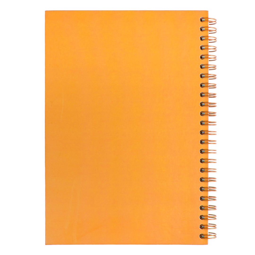 38013_9