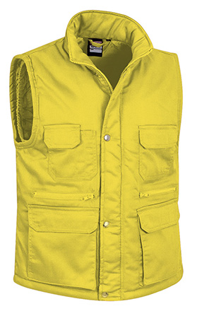 amarelo limão.jpg