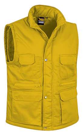 amarelo girassol.jpg