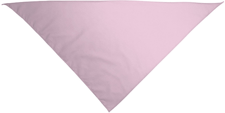rosa pastel.jpg