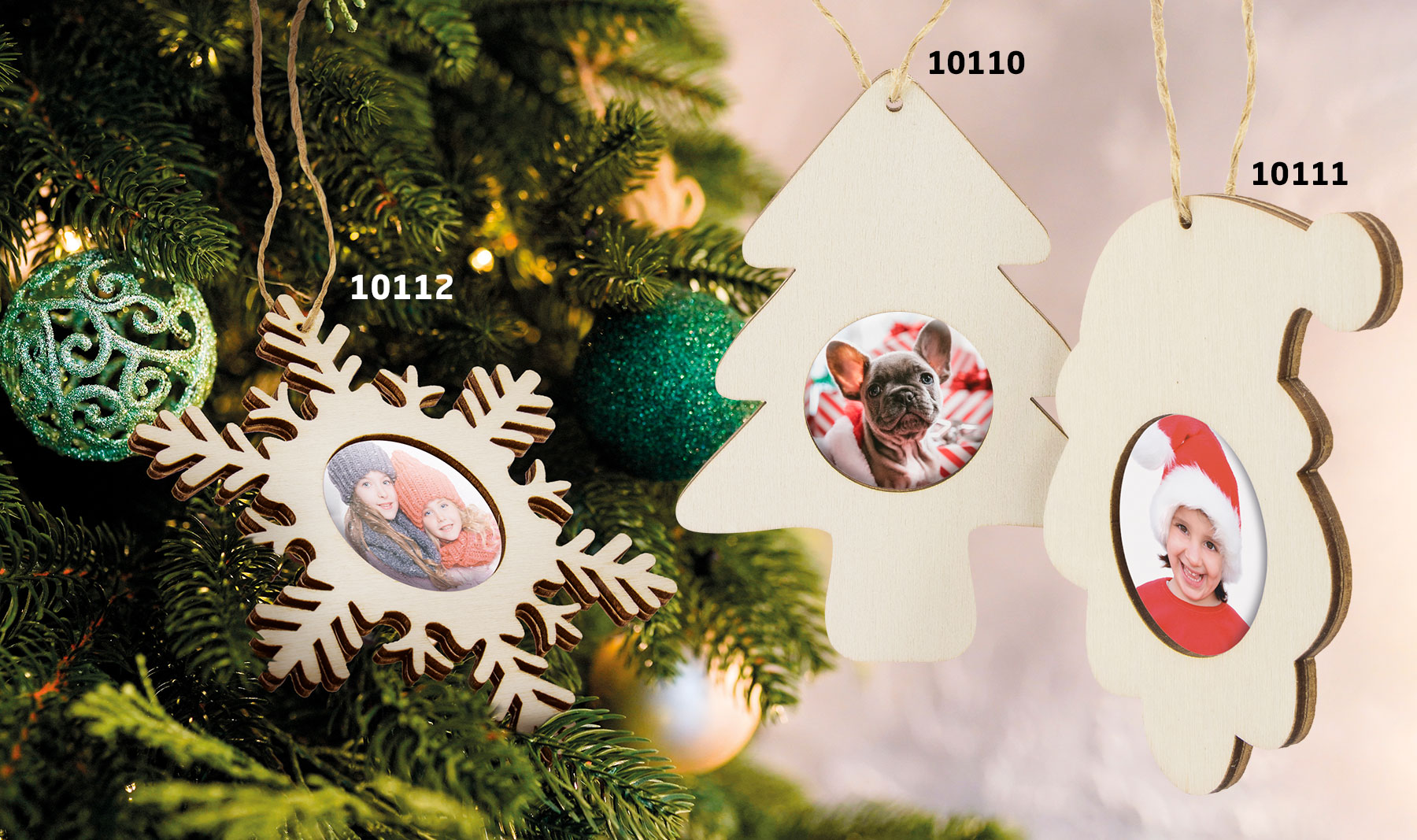 10110-BANNER1.jpg