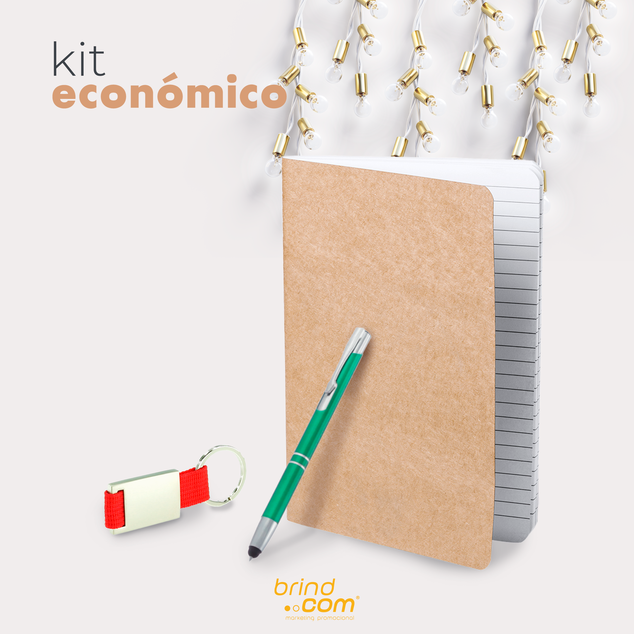 KitEconómico.png